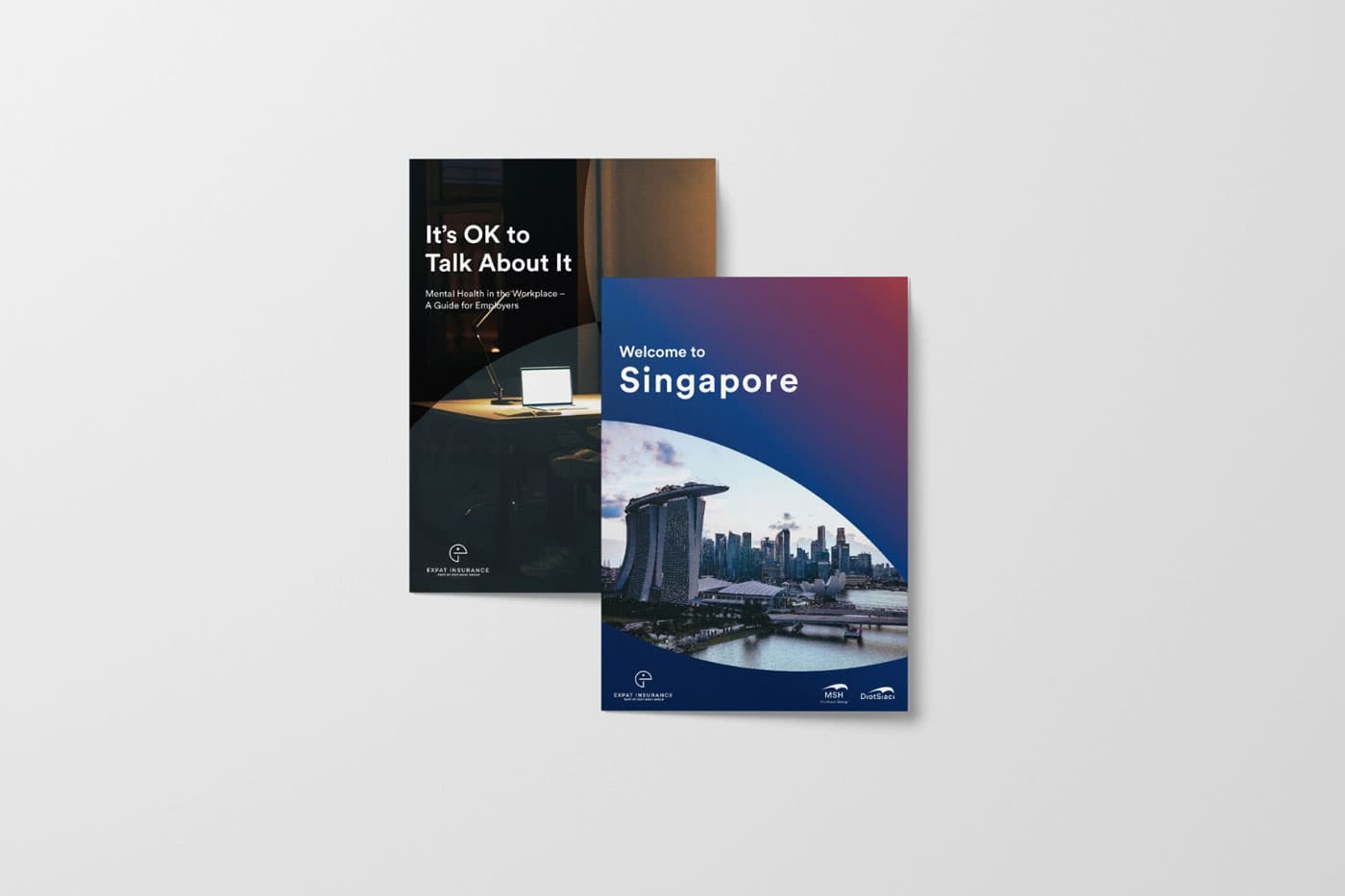 Expat Insurance project